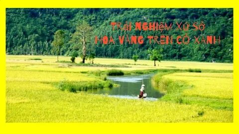 Đội tuyển Việt Nam có thể đá giao hữu với Brazil?