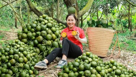 Vị giáo sư nào có 6 người con là GS, PGS và 3 con rể làm tướng lĩnh quân đội?