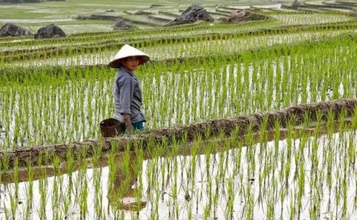 Video ngắn – Giải pháp truyền thông thông minh cho doanh nghiệp nhỏ