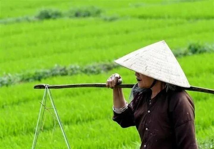 Hotspot Matrix cung cấp giải pháp video ngắn cho các chương trình truyền hình_cách biên tập video TikTok