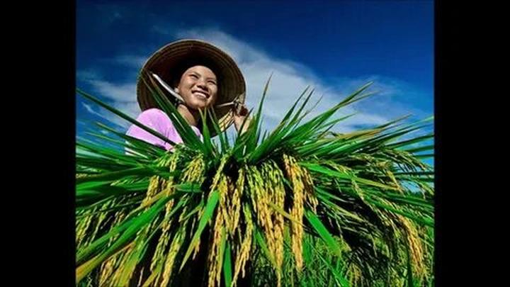 Làm Video Ngắn – Vừa Sáng Tạo, Vừa Kiếm Tiền Với Công Cụ Hữu Ích